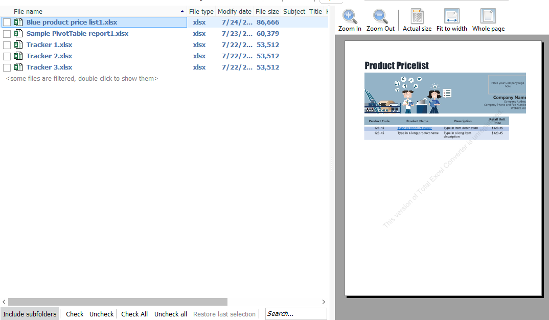 Excel Converter Preview